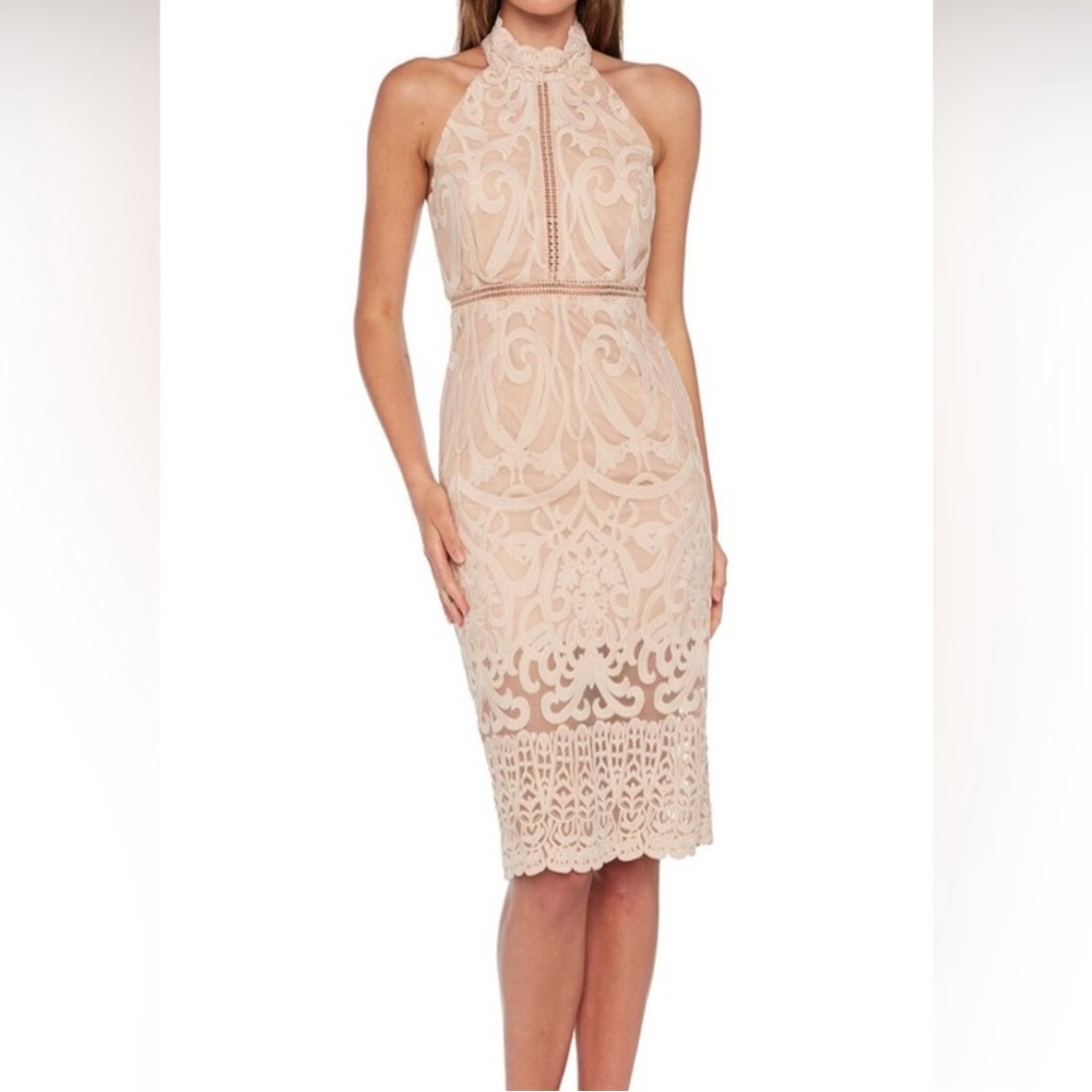 Bardot Lace Halter Midi Dress in blush